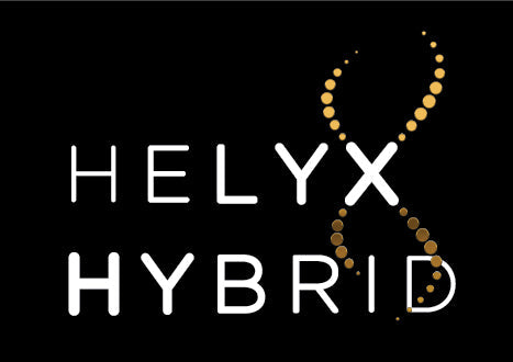 Professional Helyx Hybrid Brow Dye collection featuring hybrid brow stains, developers and professional brow colouring products for defined, long-lasting brow results.